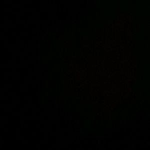 Meet your Posher, Mauri